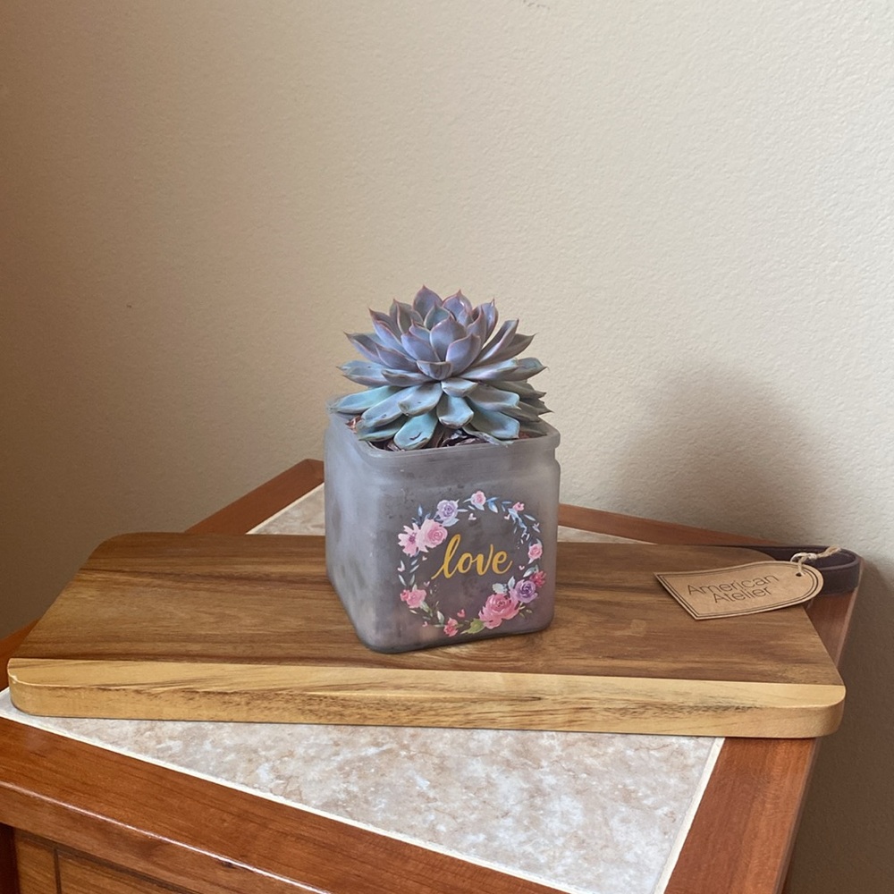 New Wood Rectangle Cutting Board/ Charcuterie with Leather Handle